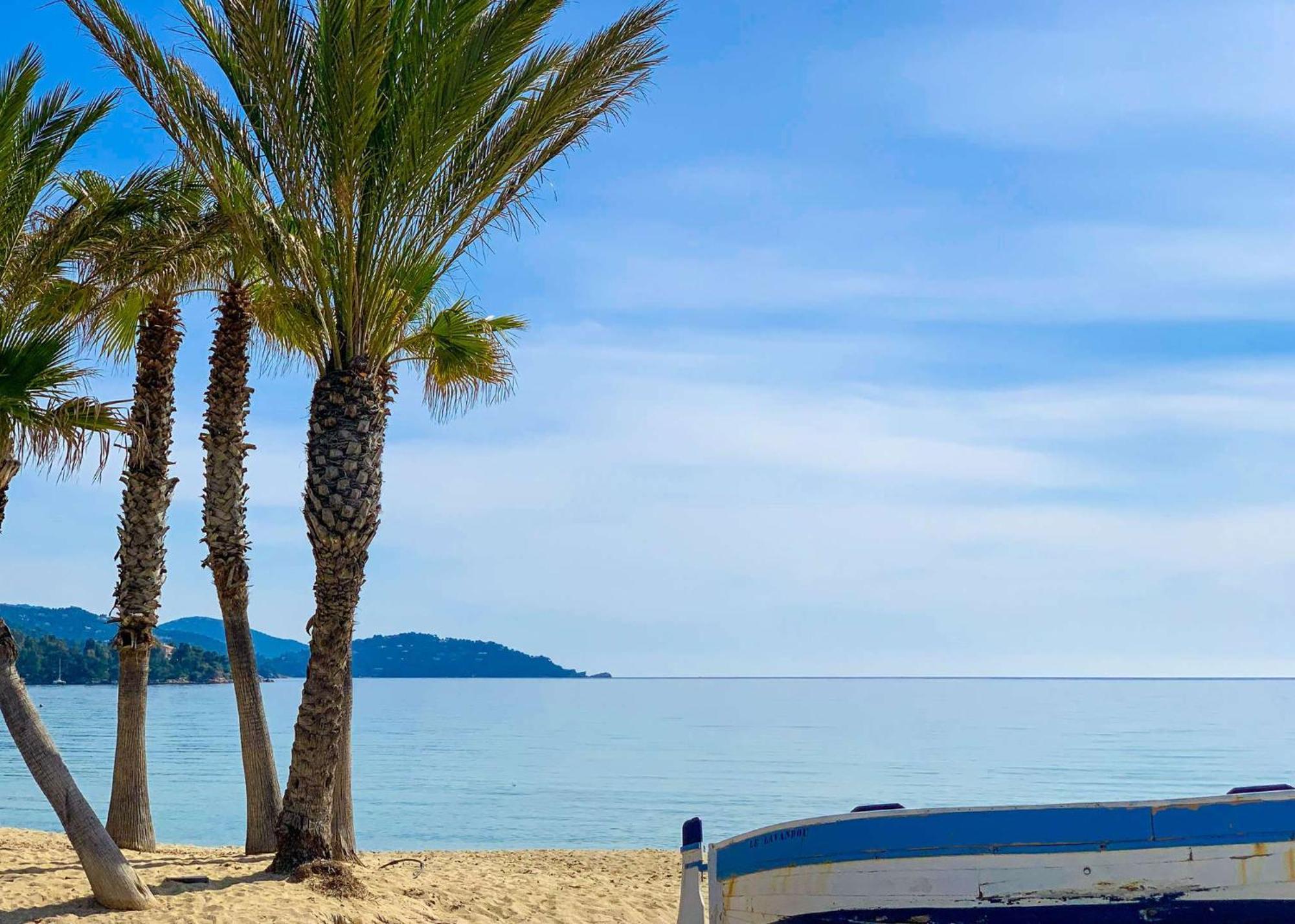 Select'Sohome - Appartement Pour 4 Personnes Avec Vue Mer A Saint-Clair ! - Zadig 勒拉旺杜 外观 照片